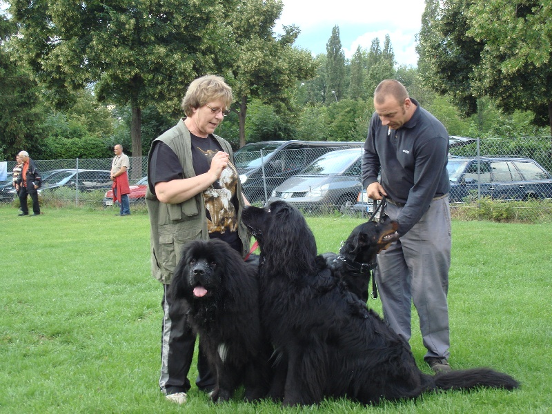 AU CLUB CANIN DE BISCHHEIM