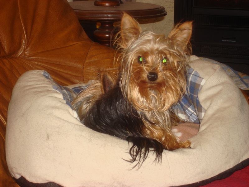 BEUDY