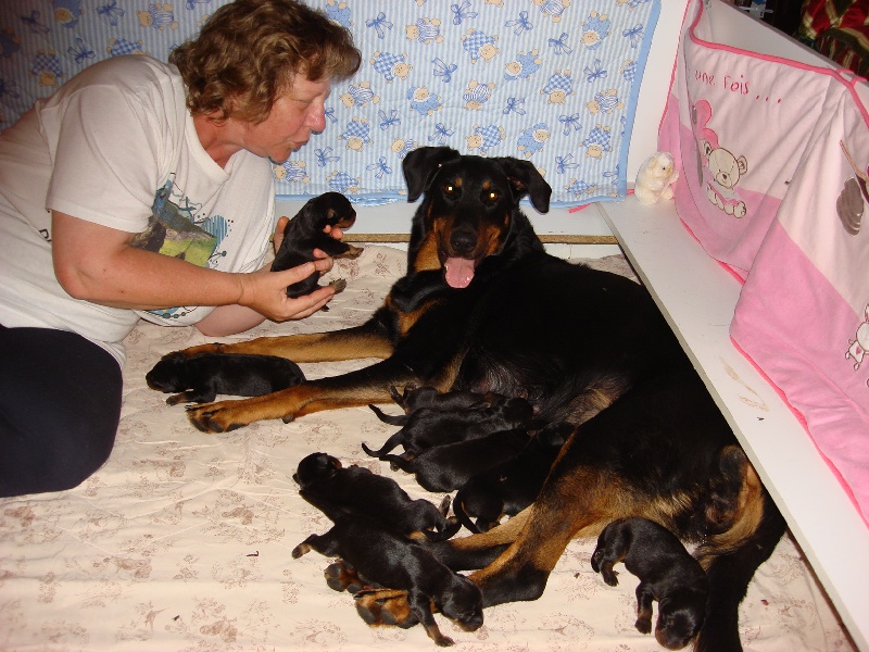 KIRA ET SES BEBES nés le; 08/09/2012
